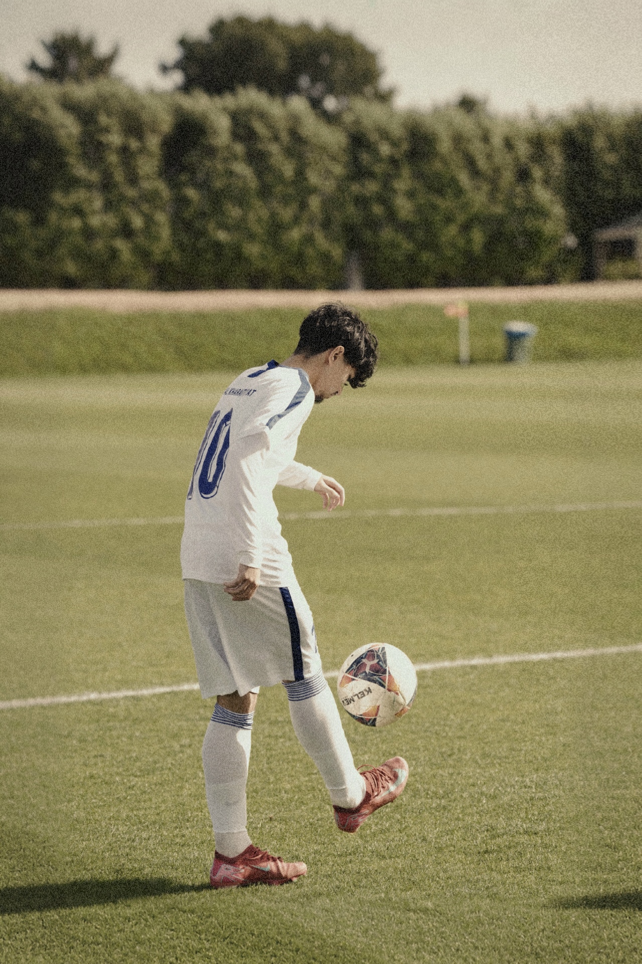 Tactician