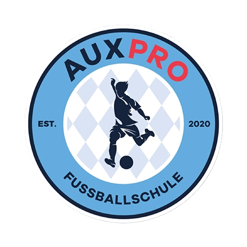 Auxpro Football School